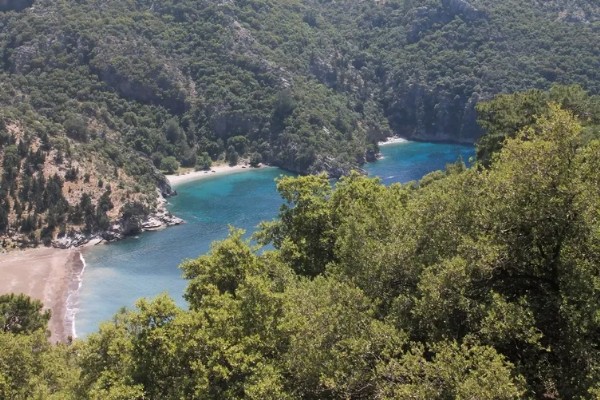 Lübnanlı İşadamına Bodrum Tuzağı! Organize Tapu Kumpası Deşifre Oldu